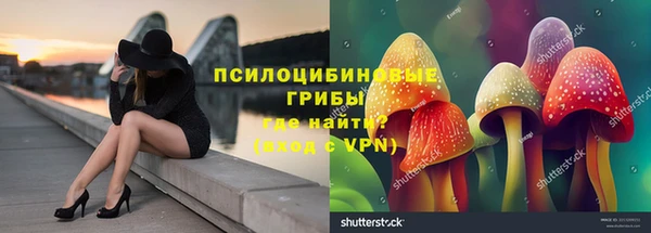 тгк Беломорск