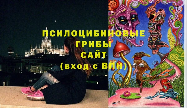 COCAINE Белокуриха