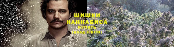 тгк Беломорск