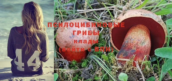тгк Беломорск