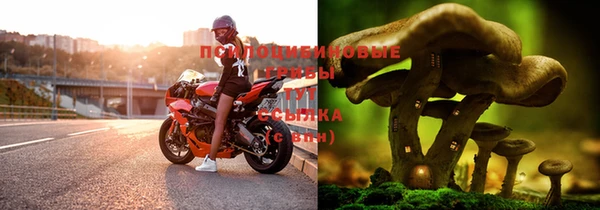 тгк Беломорск